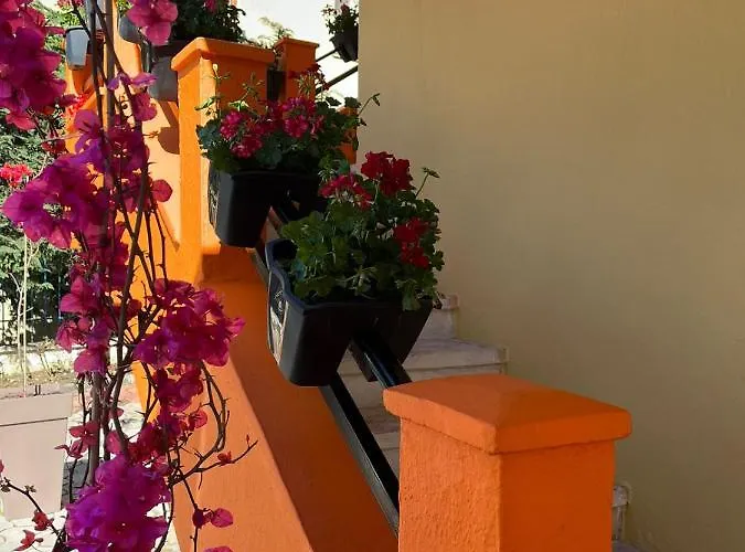 Marion Szálloda Tirana